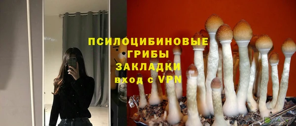 круглые Алзамай