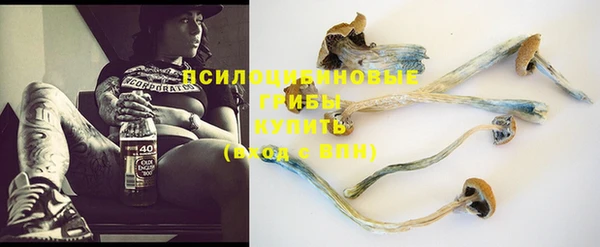 гашик Алексеевка