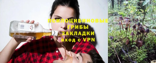 гашик Алексеевка