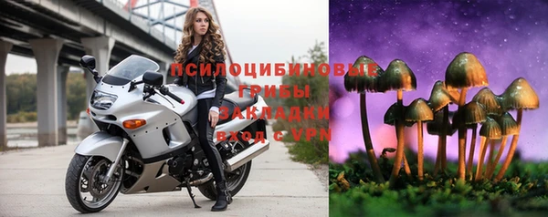 круглые Алзамай