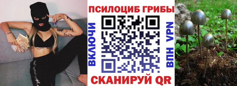 Псилоцибиновые грибы Psilocybe Железноводск
